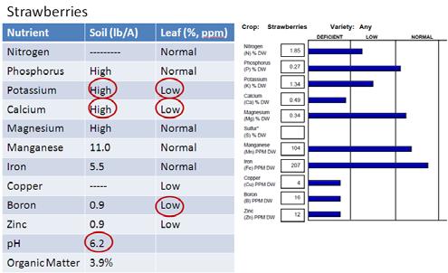 interfere with blueberries use of iron in their leves. In blueberries, iron deficiency (s shown by the lef test) is cused by ph being too high, not low iron levels in the soil.