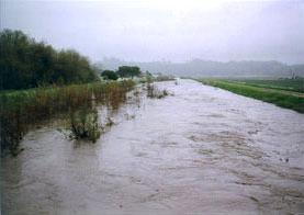 January 1997: Although intensity of channel maintenance had diminished over the years due to budgetary and environmental constraints, in 1997 there was still little riparian