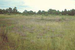 and species rich nutrient poor hay meadows is SCI habitats: 4030 dry heaths (all subtypes, 8 ha), *6230