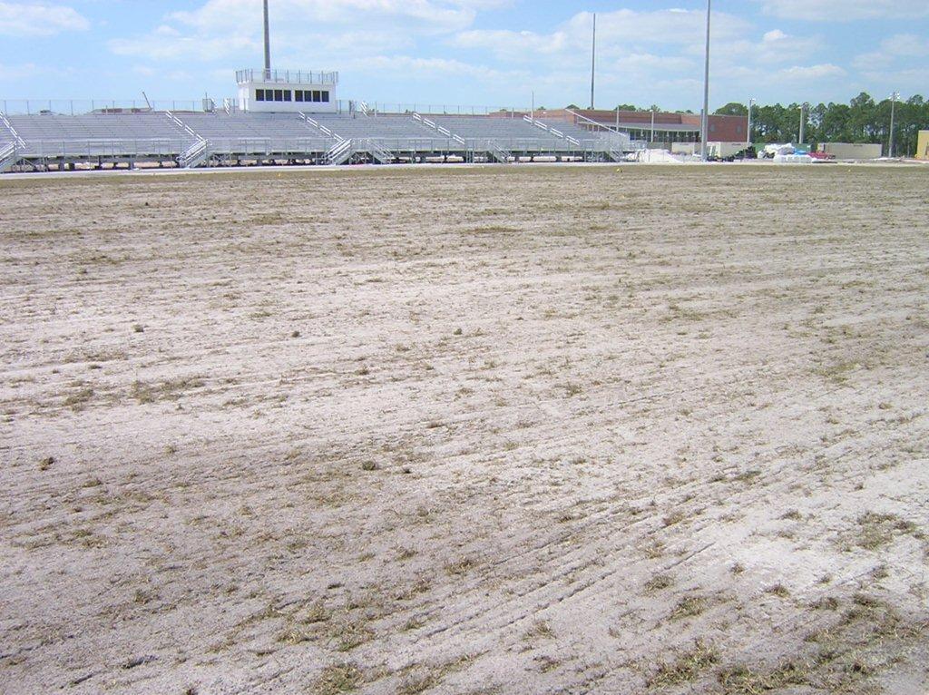 Planting early in the season (early to late spring for warm climates and late spring to early summer for the transition zone) may require fewer bushels because the bermudagrass has more time to