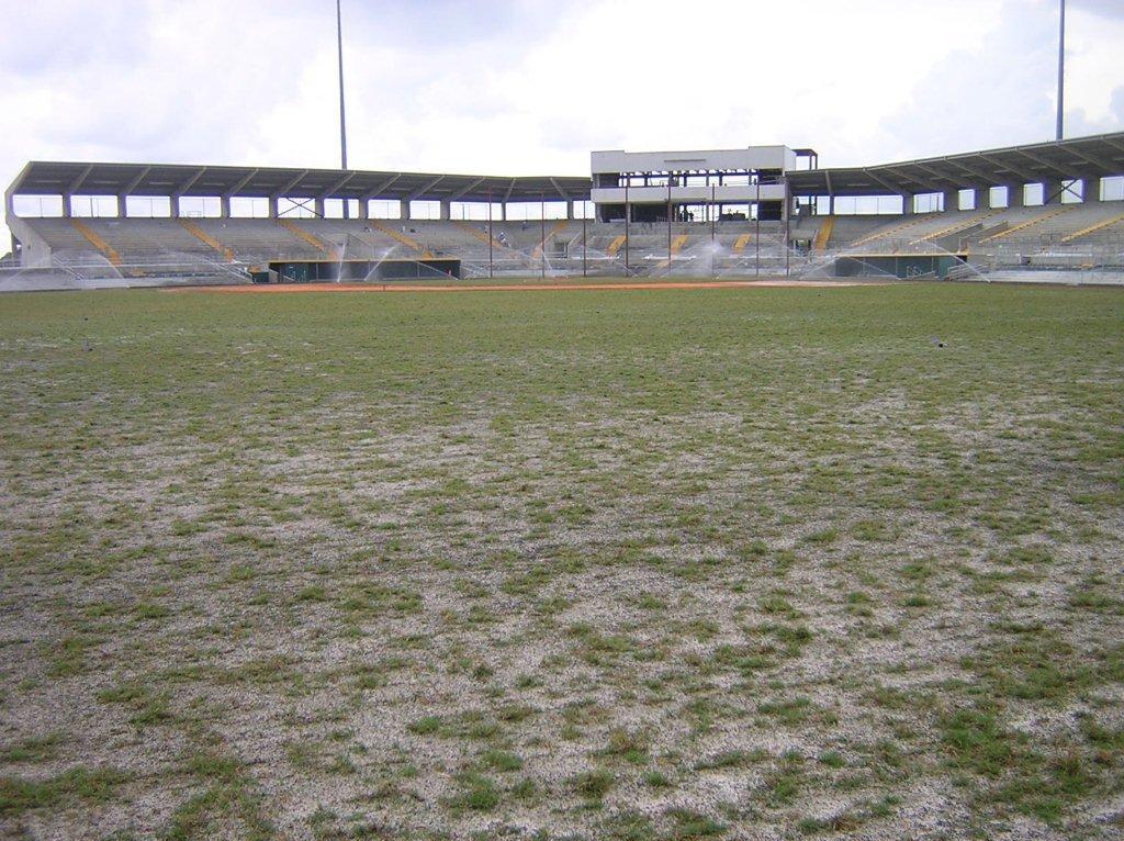 Mowing Mowing can begin when sprigs are 1-2 inches tall. Bermudagrass is typically maintained at cutting heights of 0.5 to 1.5 inches for athletic fields.