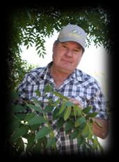 Bot Canker and Blight 2015 Research Updates Walnuts: When to Begin the Irrigation Season New walnut variety Durham released Tree and Vine