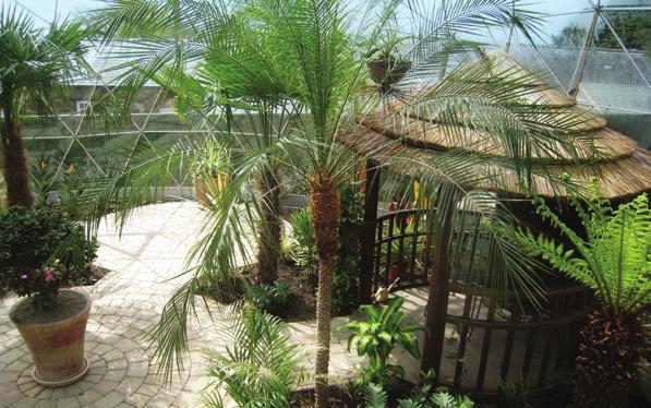 Greenhouse or tropical dome The ultimate glasshouse for passionate gardeners.