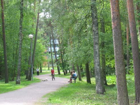 Finnish Forest Research Institute (METLA) maija.sipila@metla.