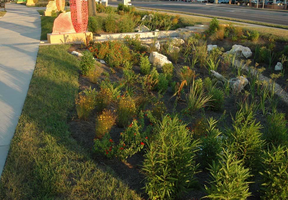 A Rain Garden is a type of landscaped area with appropriate flowers, grasses and other vegetation that catches excess