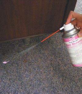 occupants. Proper cleaning and maintenance also extend the life of the carpets, protecting your investment.
