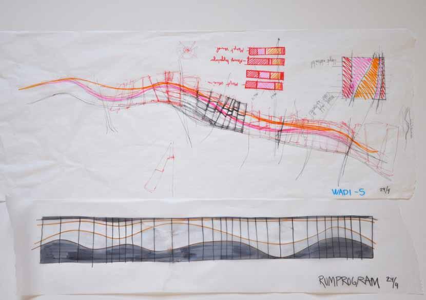 The idea of the backbone, the shifting water expression and the lines of the landscape