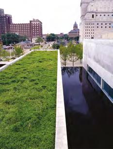 REDUCING ENERGY CONSUMPTION Green roofs are great insulators. They can reduce peak energy demand by lowering a building s cooling costs in the summer months and heating costs in the winter months.