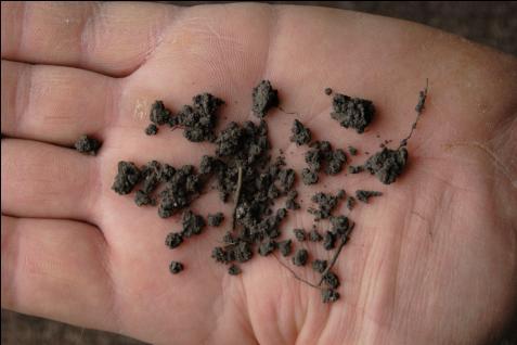 Surface soils that form stable aggregates (clumps of soil particles