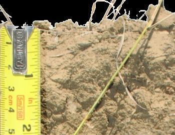 soil texture, depth Soil processes are a