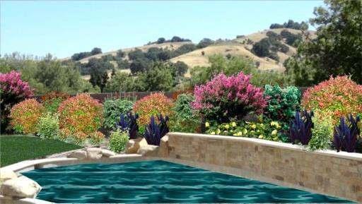 Carol V. Vander Meulen APLD Landscape Consultant 925 337 0433 Because your garden should be a place to escape to not from!