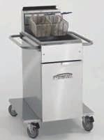 FRyER OPTIONS: - Electronic Thermostat (per fryer) add suffix T to model number $1,272. - Computer (per fryer) add suffix C to model number $3,316.