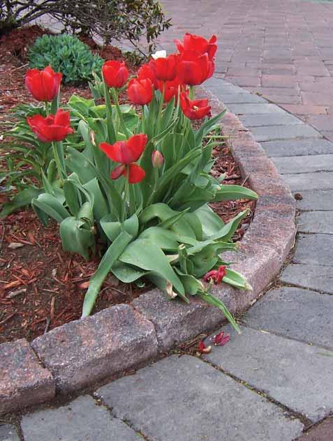 Weathered Curbstone Weathered Curbstone is the finishing touch to your Legacy Landscapes creation.