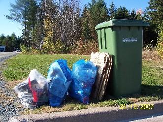 Typical Set-out 1 green cart 4 bags of garbage. One solid coloured bag is permitted for personal items, included in the 4 bag limit. The remaining bags must be clear 4 blue bags of recycling.