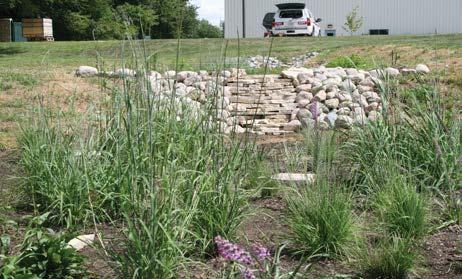 Curb cuts were installed after the young plants became established. (c) Newly planted bioretention area in Ames with native grasses. (d) Terraced bioretention cells in Ames under construction. 2.