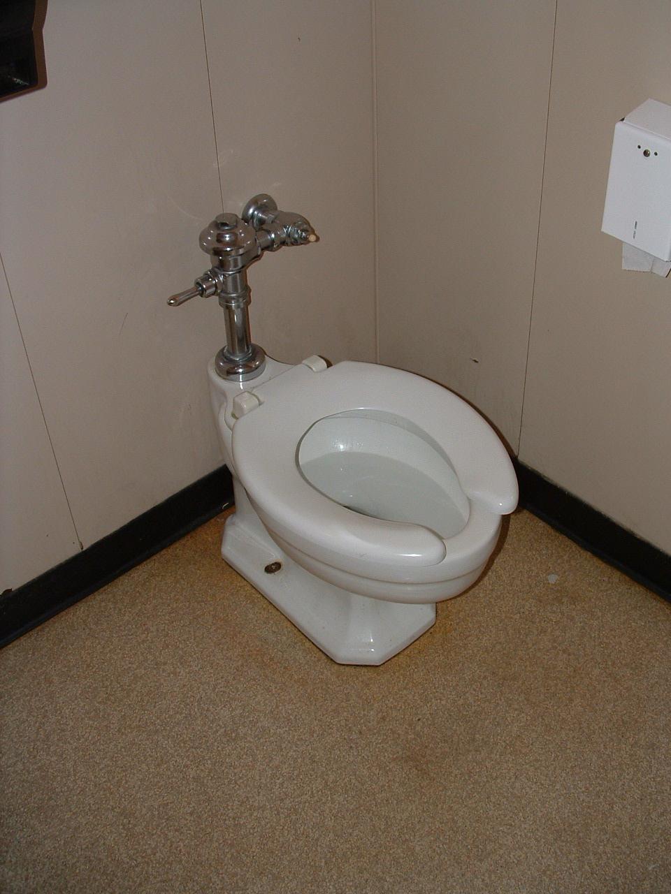 category: RR, C (ADA requirements) Remove (1) floor mounted, flush valve, water closet and (1) wall mounted lavatory.