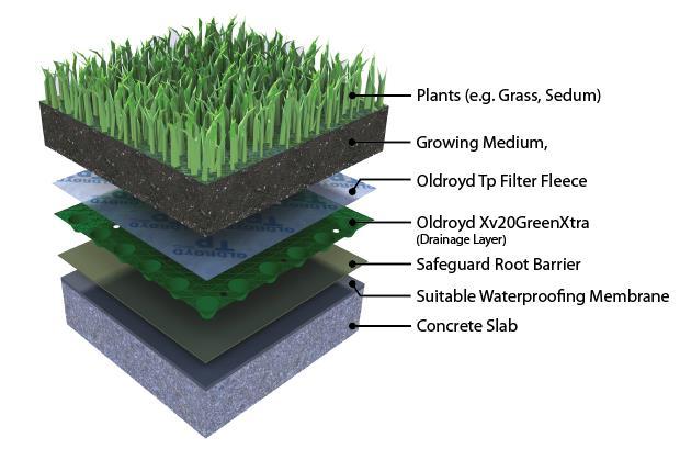 Typical layer buildup for Living/Green Roofs 6.1. Green roofs Categorization Green roofs are divided into two main categorized. Intensive Extensive 6.1.1. Intensive "More than 300mm depth of growing media, irrigation with a wide variety of shrubs, grass and tree species on slopes less than 3%".