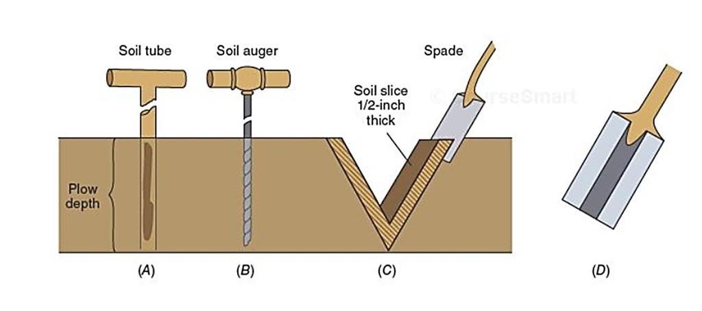 SOIL SAMPLING Sampling Tools: Soil probe