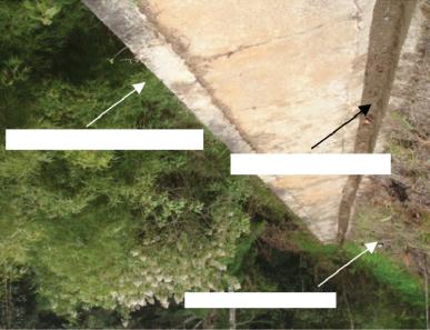 Figure 7 illustrates some of the wall s features after 6 years of service. The face showed good condition, although short-root vegetation had developed on the facing surface, as shown in Figure 7a.