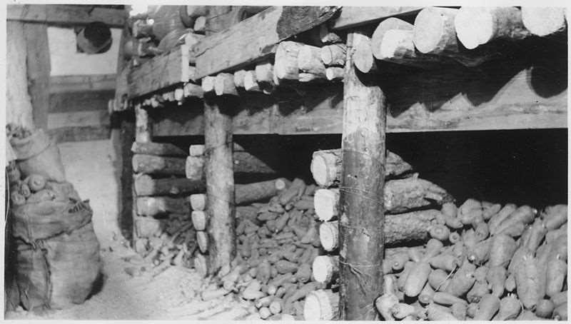Traditional Root Cellar Department of the Interior.