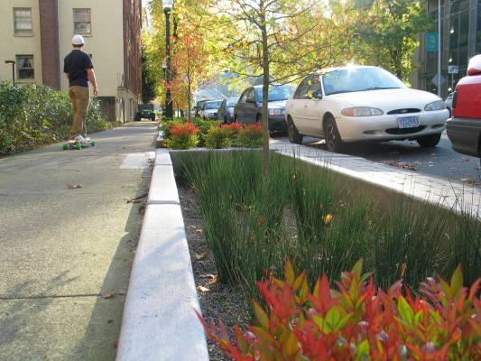 What is a Green Street A street designed to: be a visible component of a system of green infrastructure that