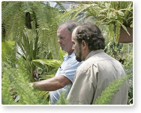 The following information is from the web site http://florida-agriculture.com/consumers/ crops/ferns/ for educational use only and not to be sold.