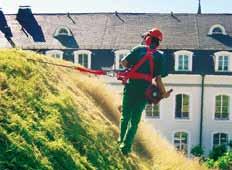Particularly Significant for Sloped Green Roofs: the Correct Choice of Plants In order to prevent erosion, the vegetation layer on a sloped roof should be