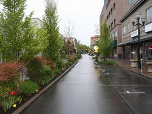 Appendix C: Street Profile New Construction: When building new streets, deciding the street profile for a particular street is one of the first steps in determining what kind of stormwater solution