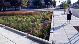 Figure D-3: A perimeter concrete curb was installed around this urban rain garden to help protect both pedestrians and the stormwater facility.