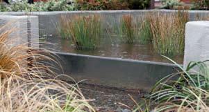 A check dam or weir should generally be placed in a rain garden facility for every 4 to 6 inches of elevation change.