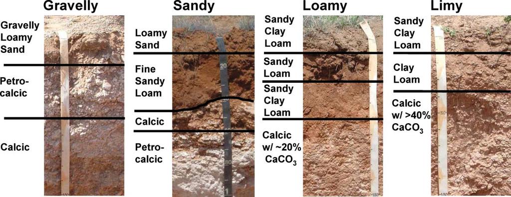 Figure 1. Soil profiles of four ecological sites (names in top row) in southern New Mexico (Major Land Resource Area 42.