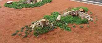 Growing Media & Vegetation The growing media used in Green Roof projects can be designed specifically to suit each project and this can be varied to meet the