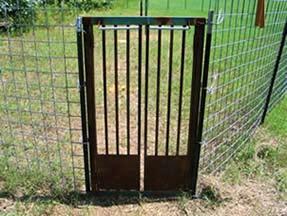 For large corral traps, the trigger should be placed at the back of the trap, away from the door.