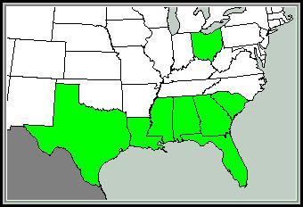 Species Distribution in the United States Scarlet Sage, native to North America, occurs primarily in the southeastern portion of the United States.