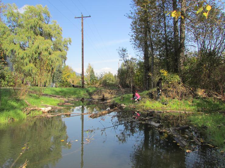 Is Your Site a Candidate for Restoration? Before restoring wetlands on your property, you should determine its restoration potential with a few questions: Were there wetlands on your site previously?