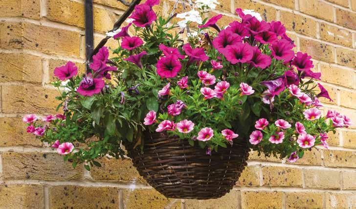 I would like to water hanging baskets Discreet and easy to install Hanging baskets can