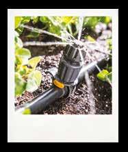 Whether to plants in containers or borders, Easy Drip can be easily adapted to your watering requirements.