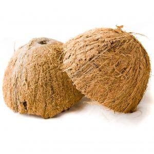What is Coir? Going coconuts!