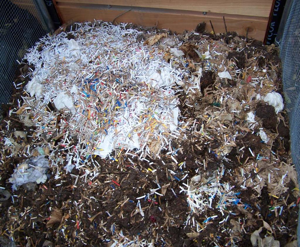 Shredded: soda/beer/cereal boxes, eggs shells & containers, junk mail (Bills?