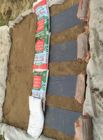 13 Wicking fabric installation process After geotextile strips were implemented and the