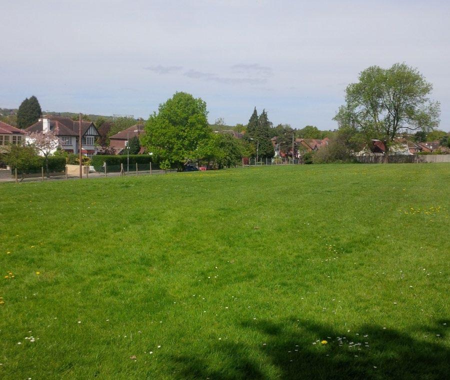 32 Planning Brief Danegrove Playing Field June 2015 Sustainability and Energy Statement Air Quality Assessment Noise Impact Assessment Contaminated land desk top study and site investigation