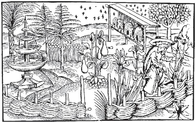 A Word About Wattles... The medieval English wattle fences and hedgerows were some of the earliest soil bioengineering practices.