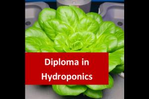 Diploma In Hydroponics Ex Tax: 2,040.00 Technical data Course Start: Course Hours: 600 Recognised Issuing Body: Course Code: Course Prerequisite: Course Qualification: Exam Required?