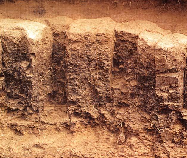 SOIL STRUCTURE AND PERMEABILITY COLUMNAR STRUCTURE 2 Indicates a sodiumaffected subsoil.