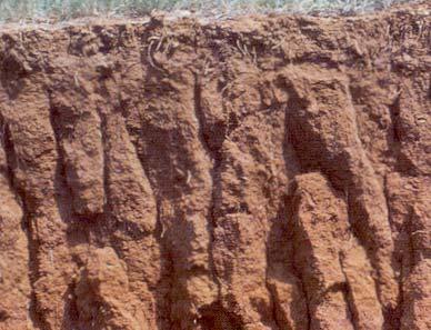 SOIL STRUCTURE AND PERMEABILITY 2 PRISMATIC STRUCTURE Common structure in the subsoil of mature soils.