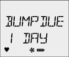 12. The LCD next displays the number of days remaining until the next bump test is due.