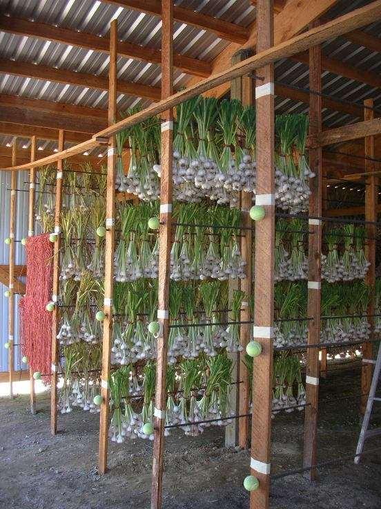 Incredibly practical hanging system.