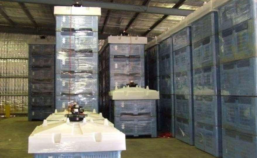 High intensity wrapped megabins Bins wrapped in plastic are stacked under portable fans located in top plastic lid on top of bins Small