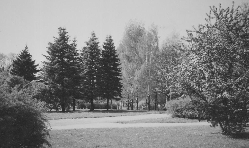 Fig. 7. Riga. The trees groups of Park Uzvaras. K. Barons, 2009 [Source: photo from author private archive]. Fig. 8. Riga. The trees groups of Park Uzvaras. K. Barons, 2009 [Source: photo from author private archive]. In his memoirs, K.