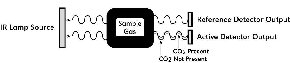 optical gas sample cavity and terminates at two pyroelectric detectors.